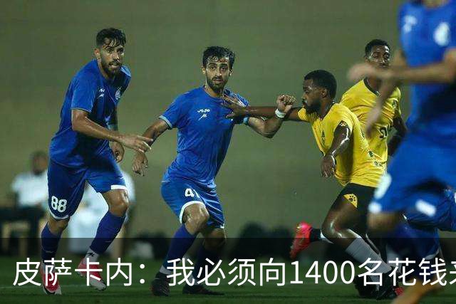 皮萨卡内：我必须向1400名花钱来看这样一场灾难的人道歉
